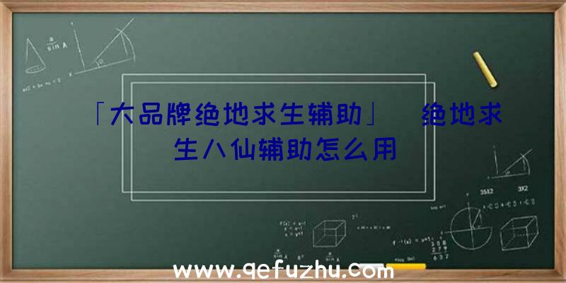 「大品牌绝地求生辅助」|绝地求生八仙辅助怎么用